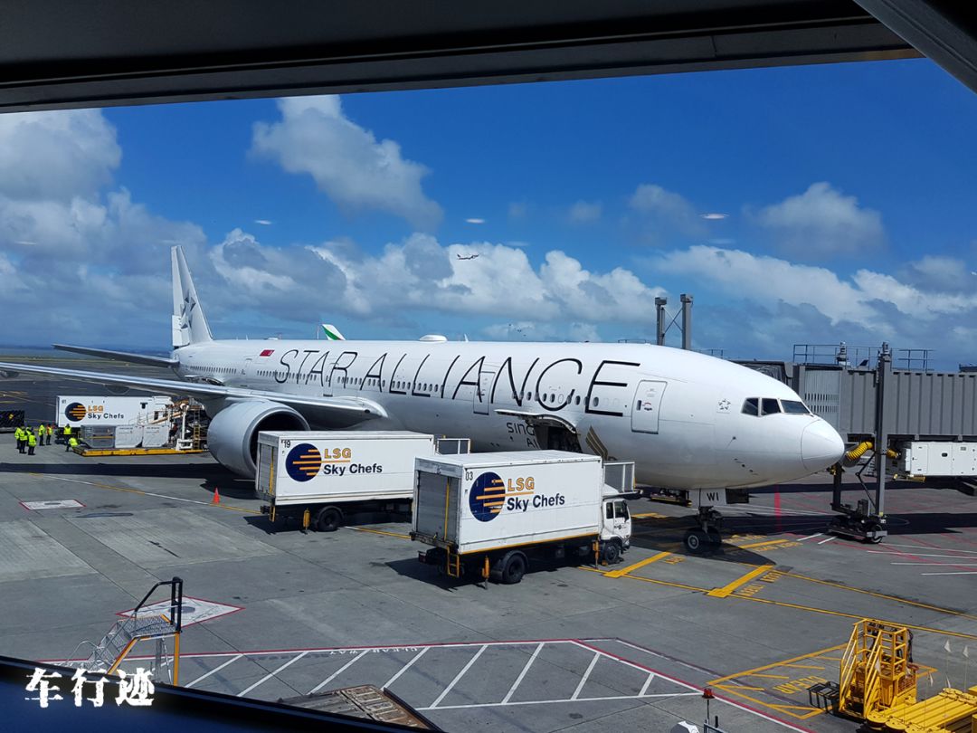 穿越新西兰北岛,新西兰北岛的真实生活最新