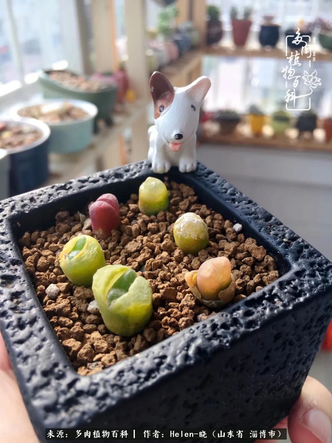 人到中年温暖如初,人到中年岁月静好