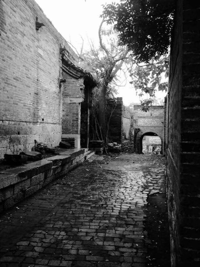 1978年恩师故去，“遗药”治好食管瘘