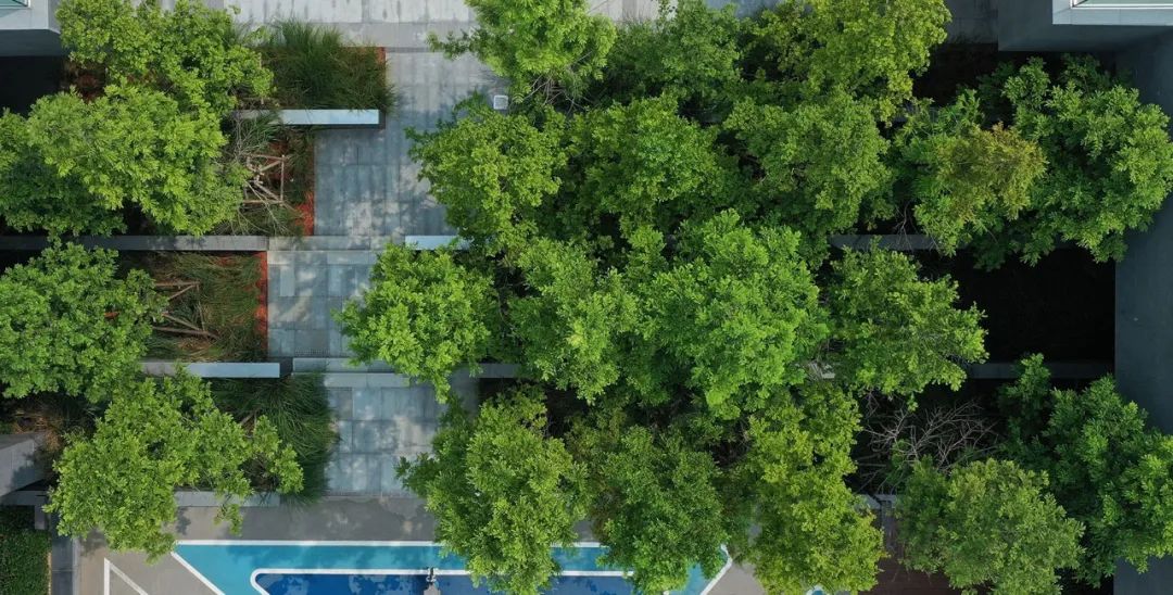 永威上和院装修案例,永威上和郡大平层装修