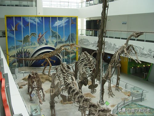 520分考入中国地质大学的宝石及材料工艺学怎么样？附就业解读