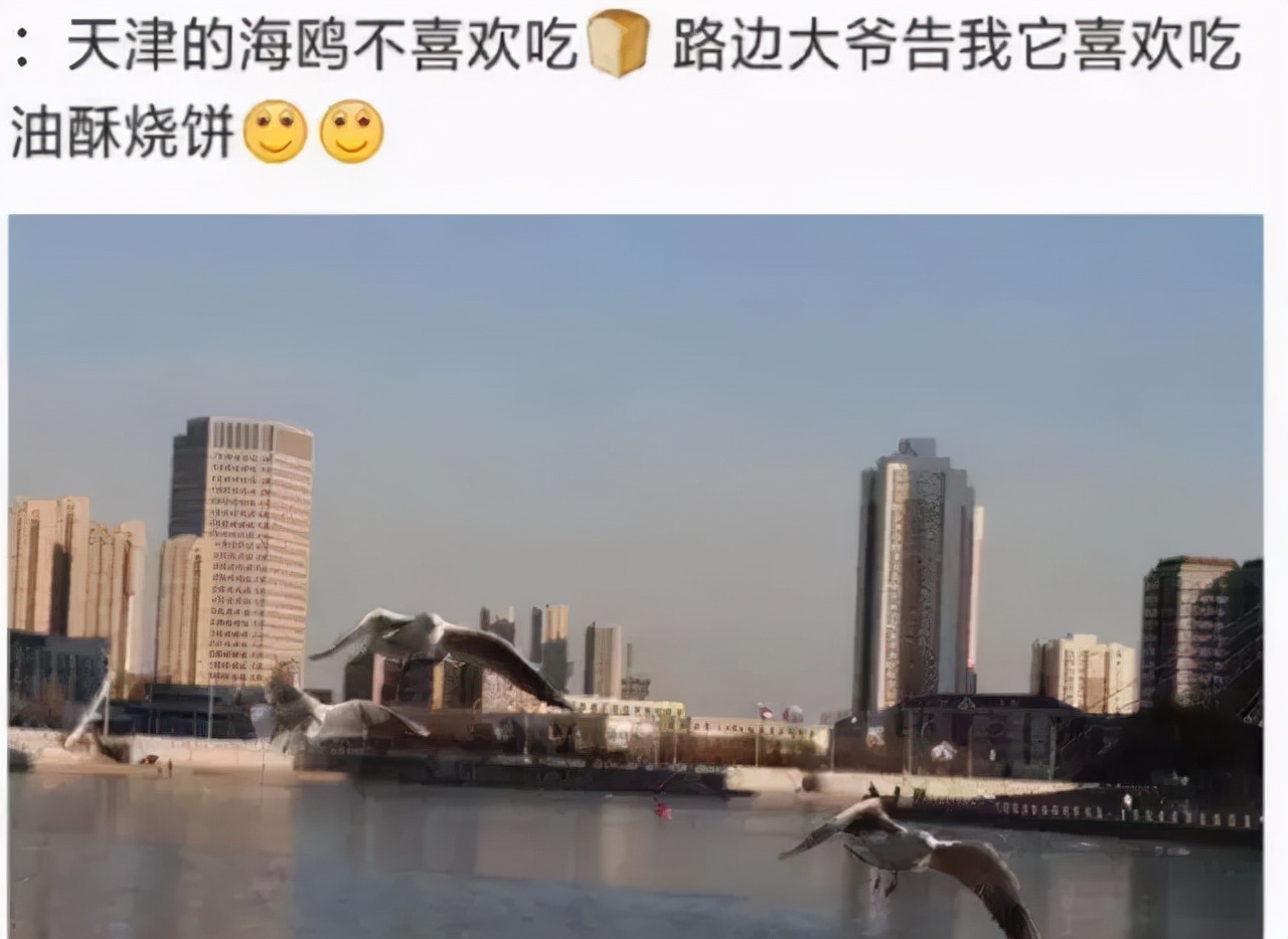 黄鼠狼在超市偷东西,黄鼠狼超市偷火腿肠