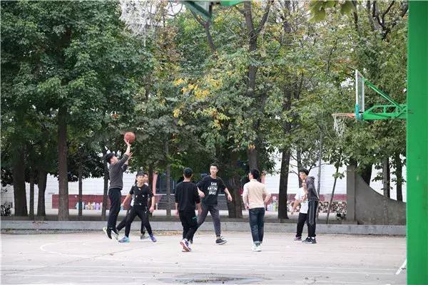 采访外地人怎么评价河南人,河南各地对郑州人的看法