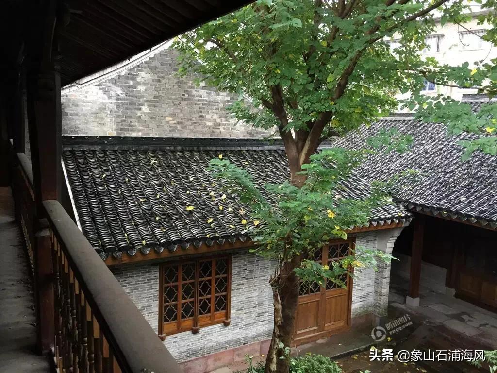 屠呦呦获奖的科学家,屠呦呦有诺贝尔奖吗