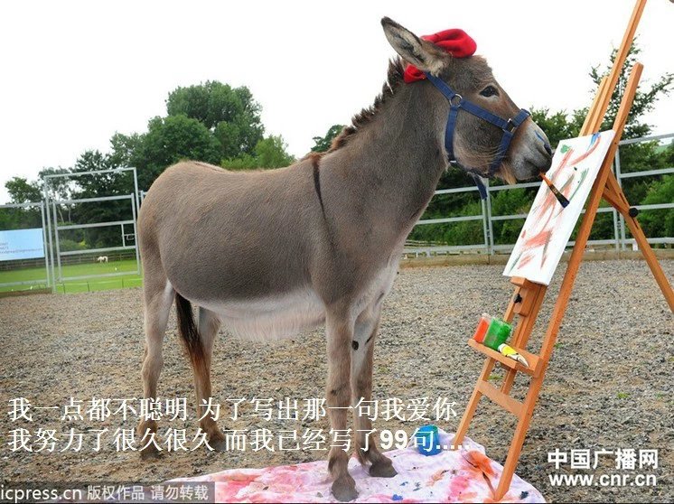 我只想说声爱你,只想再爱你一次