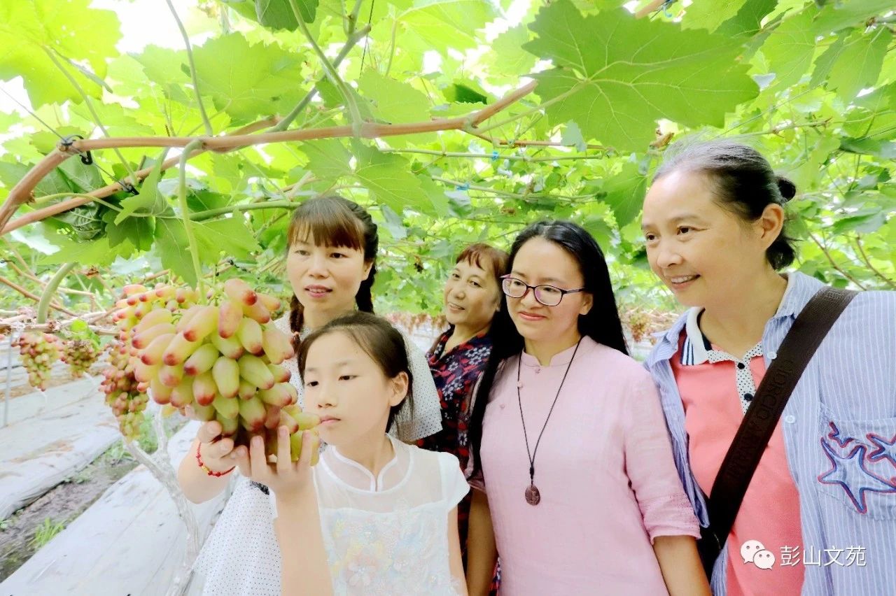 萄益彭山,乐活百年