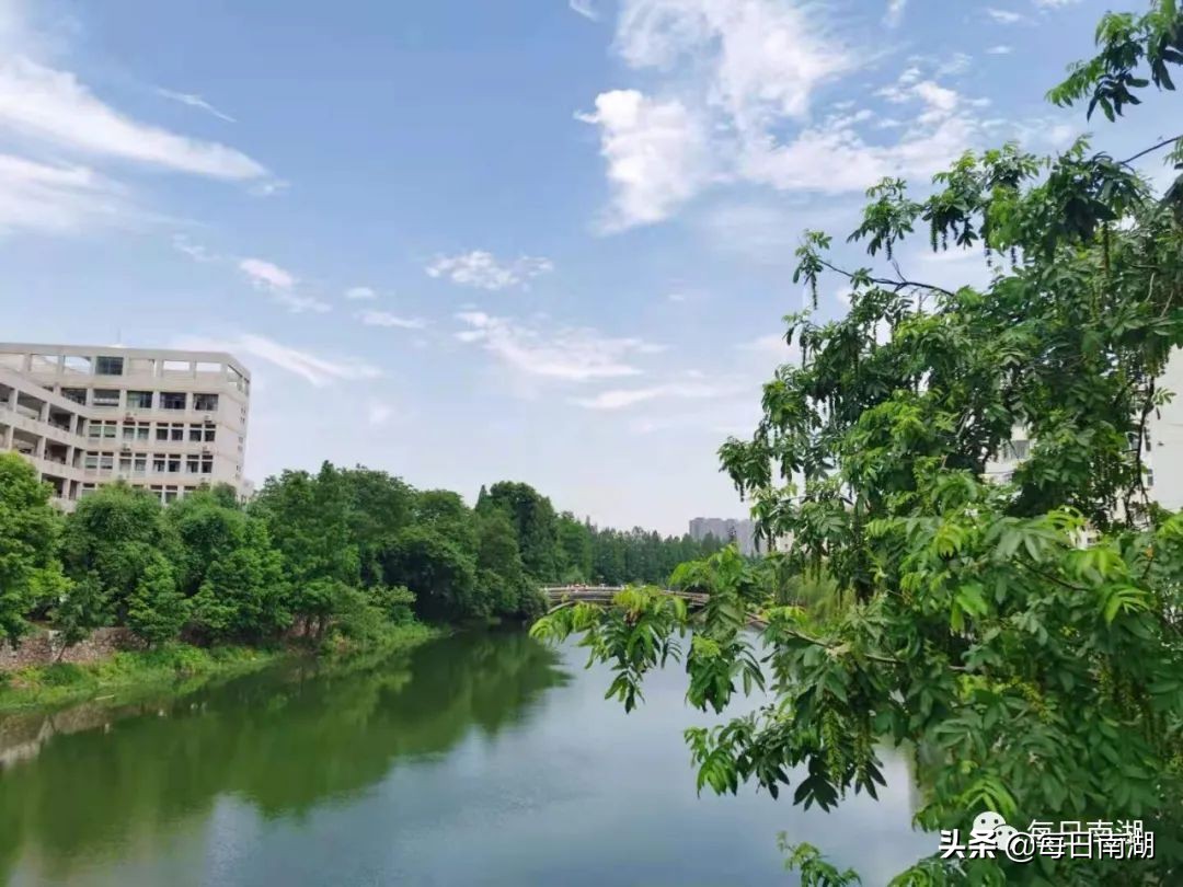 南湖的生态公园,南湖公园在未来哪里