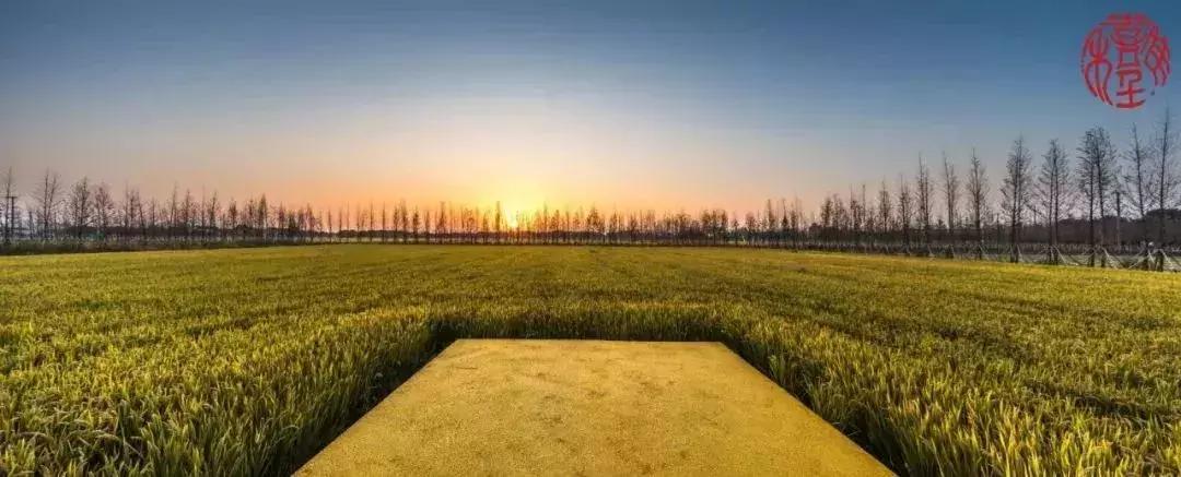 苏州通安的特色,苏州通安有什么美食