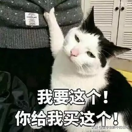 电商法出台有没有打击代购,电商法还能代购吗