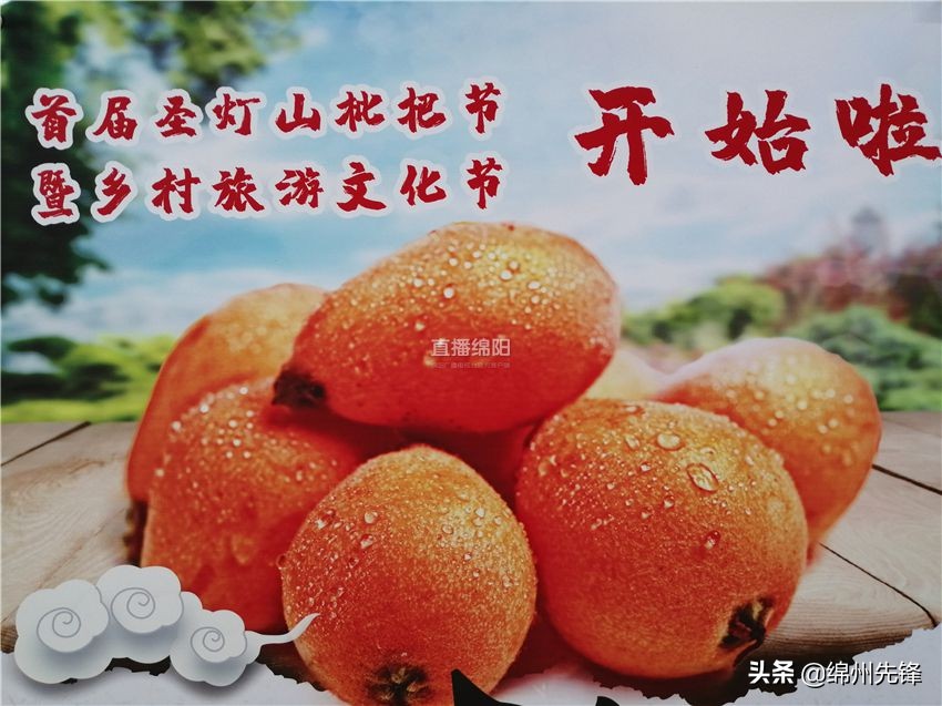 哪个地区的大五星枇杷口感最好,枇杷上市时哪里枇杷更好吃