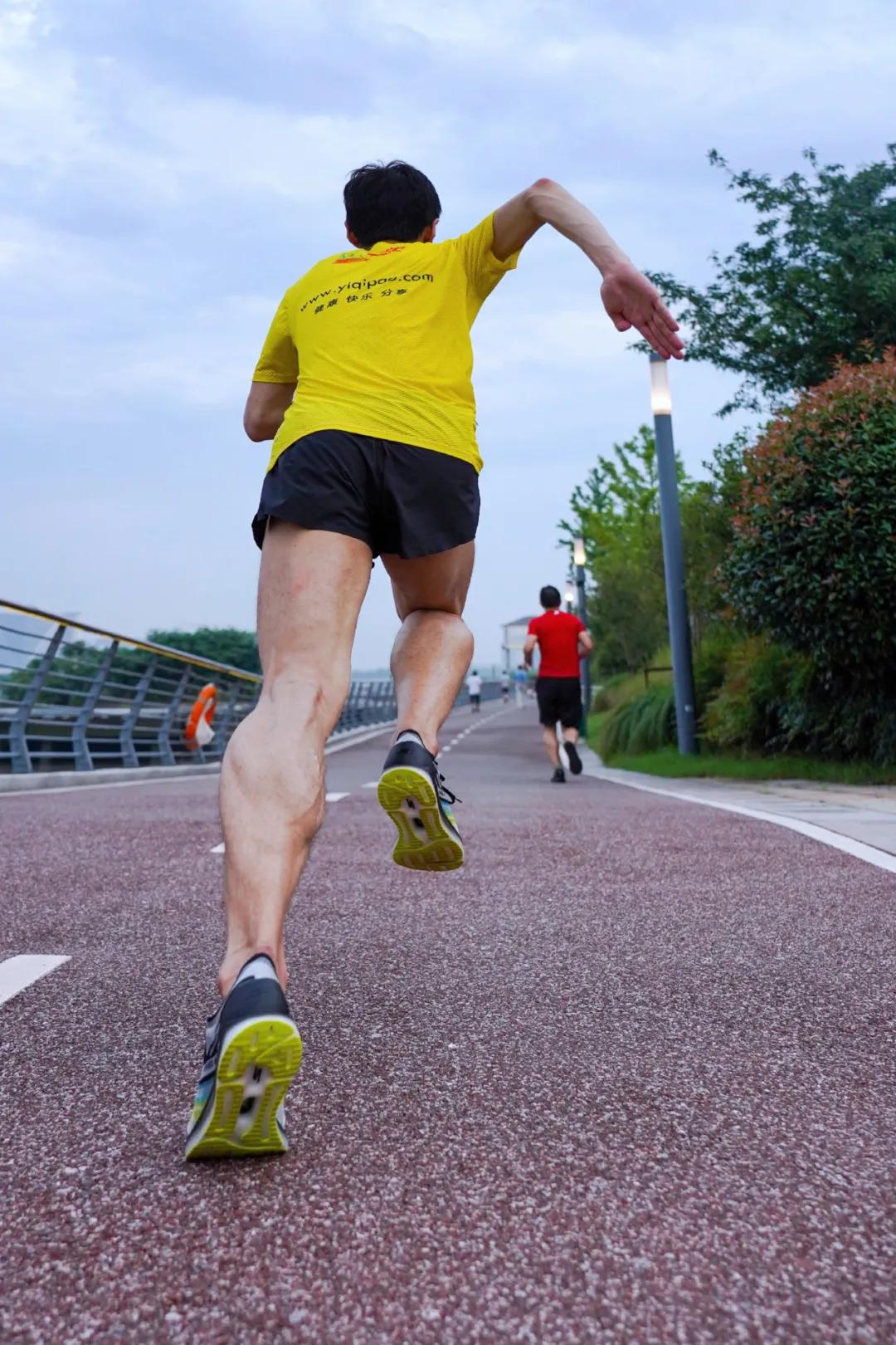 斯凯奇skechers白板鞋,斯凯奇skechers鞋子女厚底