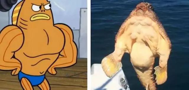 现实中的海绵宝宝是海洋生物,海绵宝宝中的珍珍是什么海洋生物