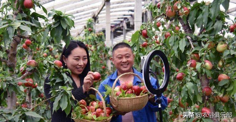 为什么农村禁止私人卫星锅,在农村装卫星锅真的违法吗