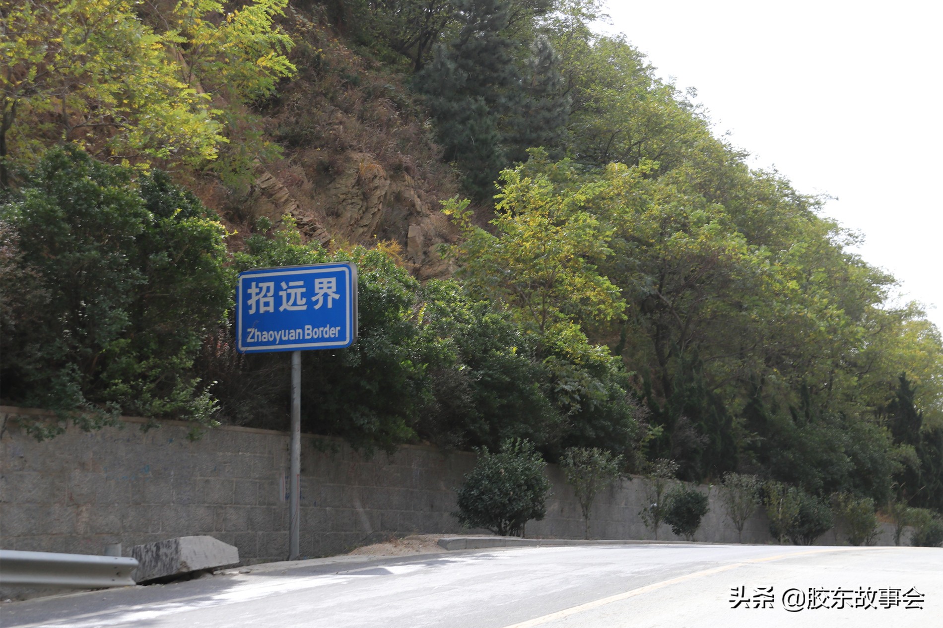 招远发生了什么大事,招远发生什么大事