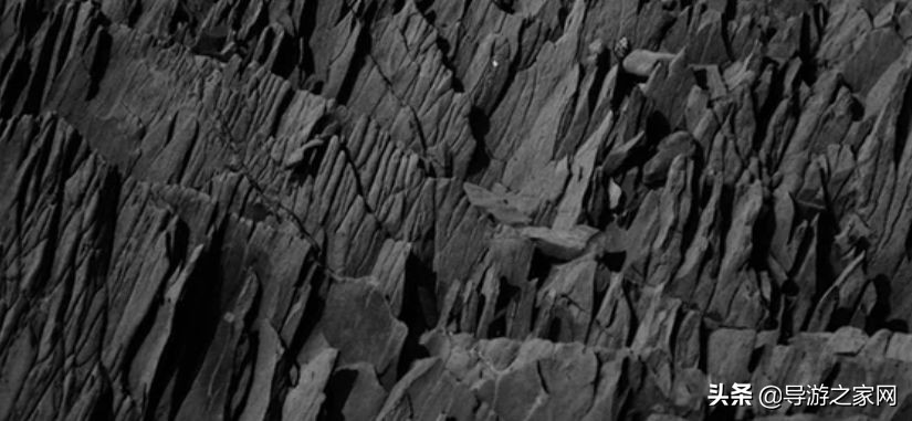 导游的工资收入靠什么,导游基本工资