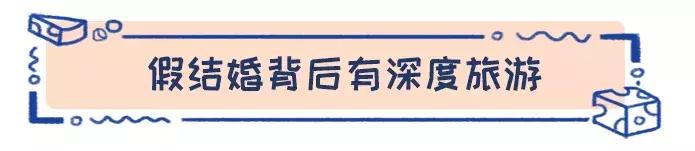 去荷兰旅行结婚,荷兰旅游新玩法视频