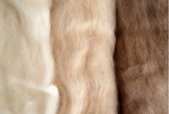 纯羊毛羊绒衫轻薄穿着舒服,比羊绒还贵的羊毛系列