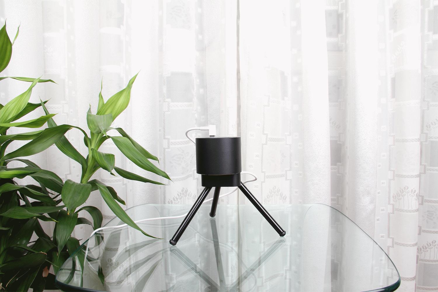 啄木鸟镭雕,啄木鸟激光雕刻机雕树叶