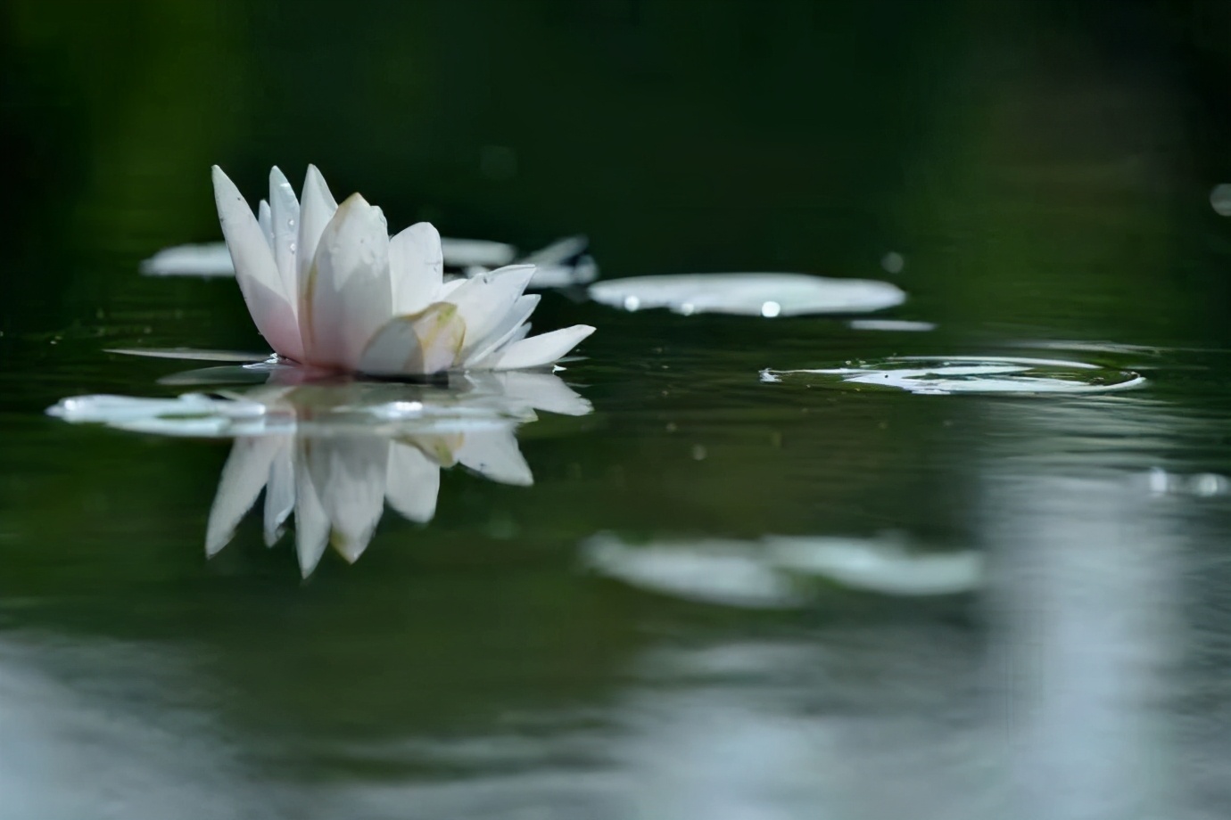 只因太轻信，被骗50000元