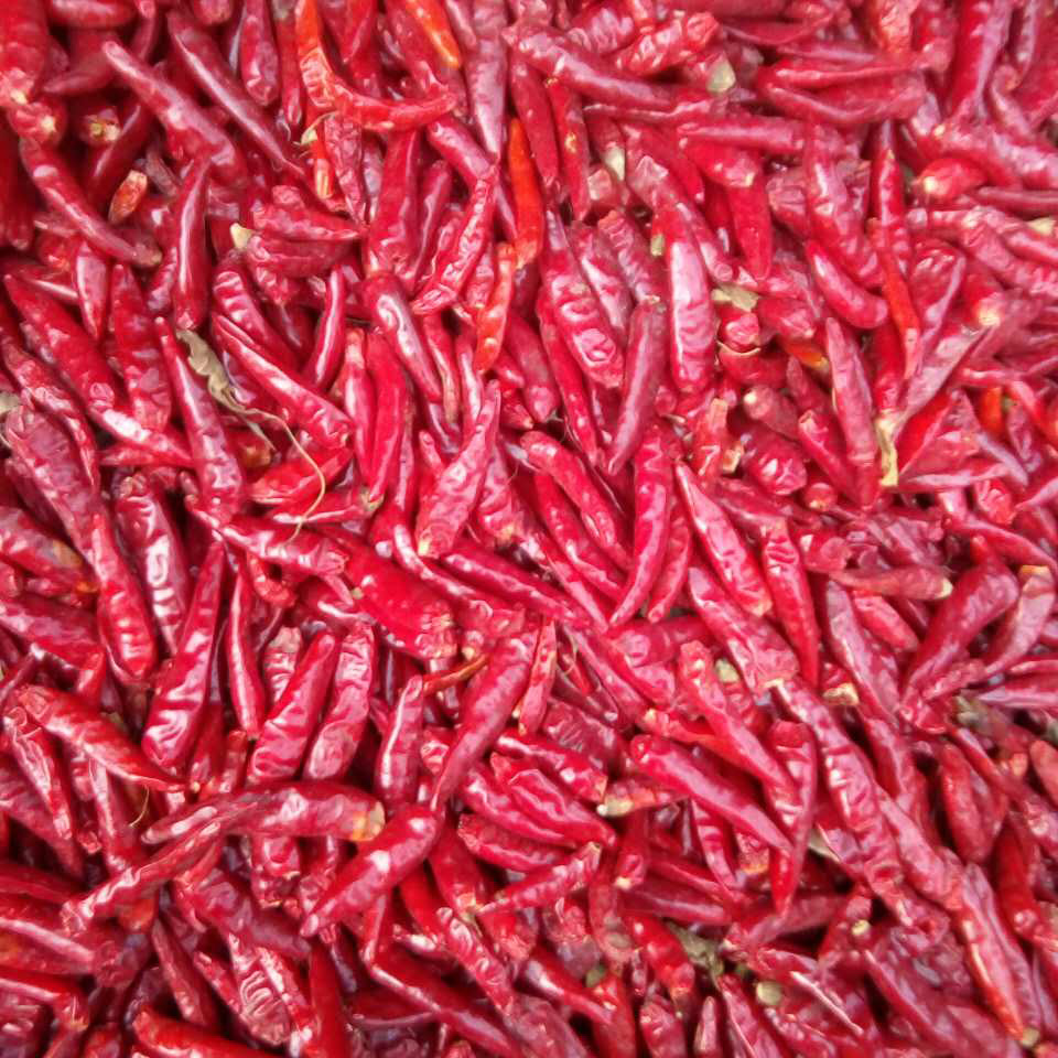 河南省内黄县美食纪录,河南安阳内黄特色小吃有哪些