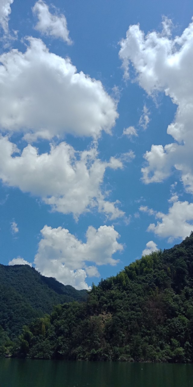 九州文学南京诗社作品,九州文学社作品