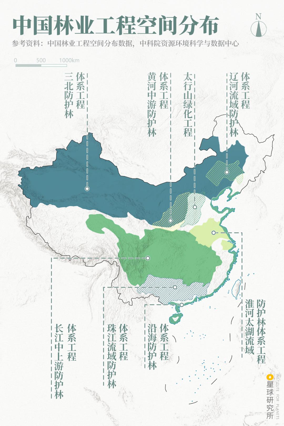 中国植树造林成果国外有什么看法,植树造林改造沙漠