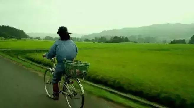 暖心的情感书单,触动内心的情感书单