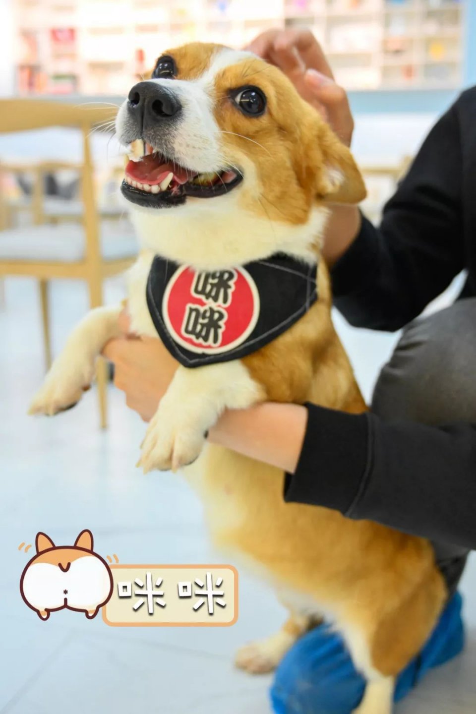 专门摸屁股的店，任摸