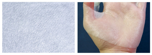 然来这才是真正的你，被骗多年