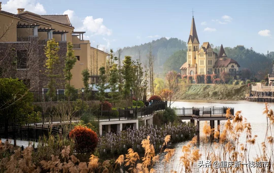 闇嶆牸娌冨吂鍩庡牎鍒,璐甸槼闇嶆牸娌冭尐鍩庡牎