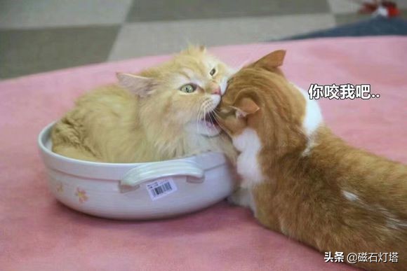 剑网3情缘,剑网情缘3