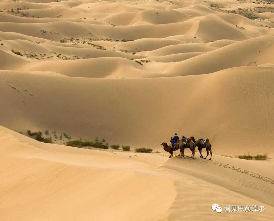 内蒙古巴彦淖尔有多美,巴彦淖尔有多美
