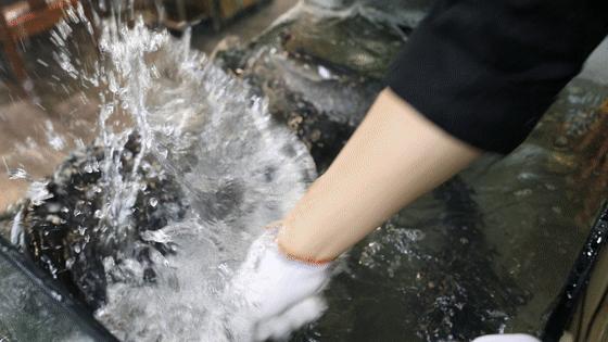 你吃过这家鱼火锅没,一口就上瘾的鱼火锅