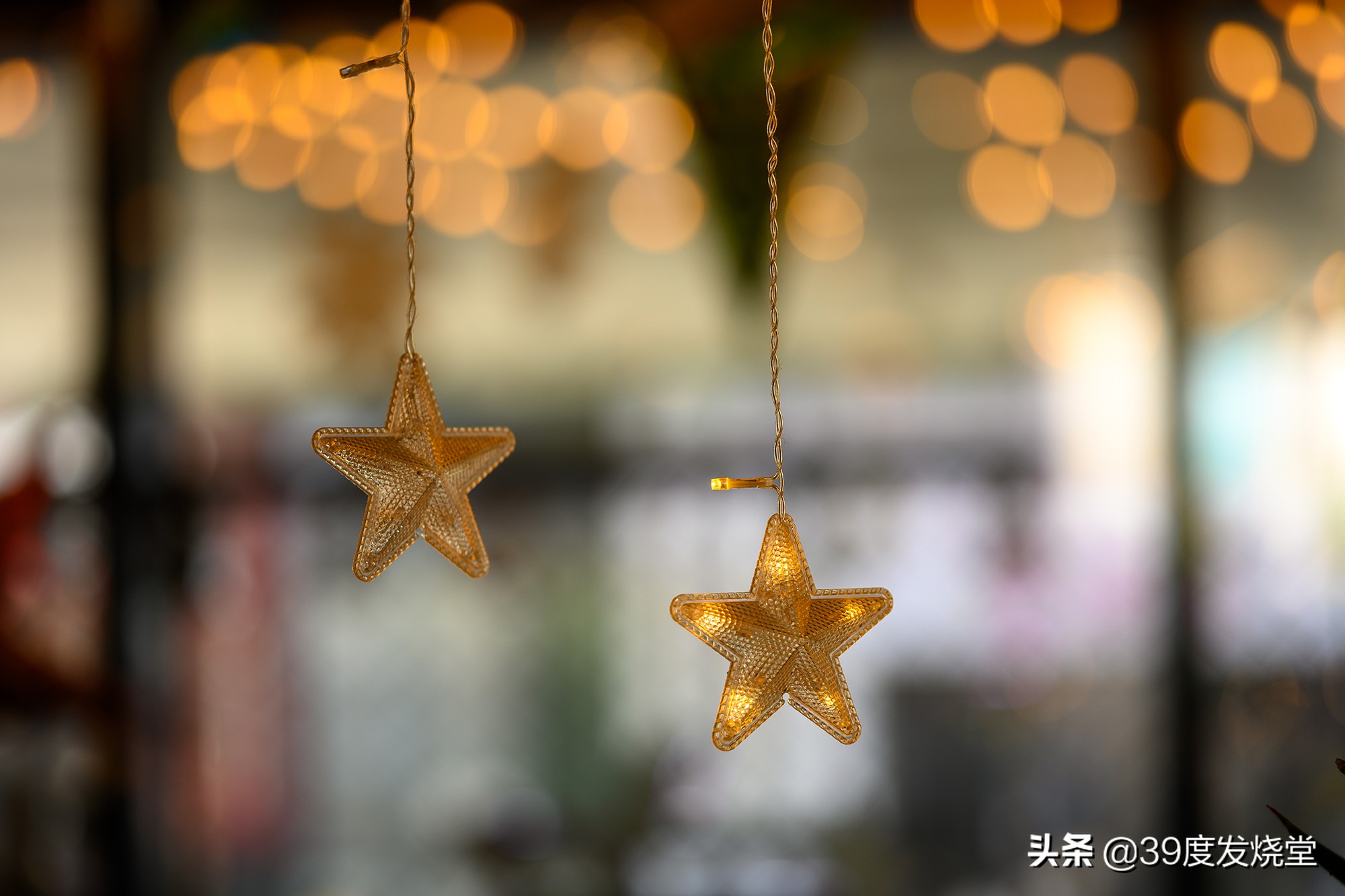 这5000元真值了!尼康Z85mmf/1.8轻量化人像镜头评测