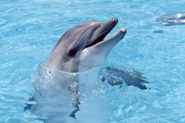 100部电影史上最经典的台词,影史百大经典台词