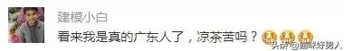 真正的广东人是怎样的,真正的广东人是怎么样的