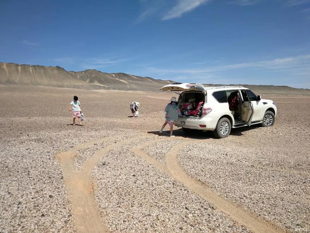 在野外捡到这几种石头千万不要扔,河边捡石技巧