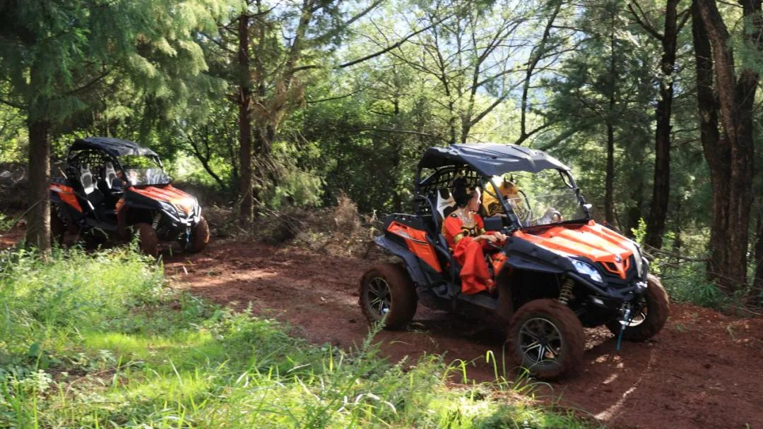 无法离昆,就地过年!昆明亲子游推荐路线重磅来袭!花样过牛年