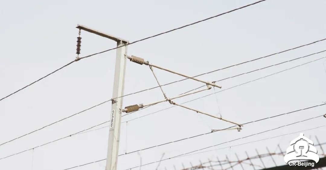 他们为14万支绝缘子集体“洗澡”