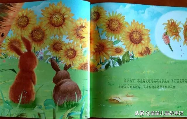 花儿的媒人绘本故事,儿童绘本故事春天的故事