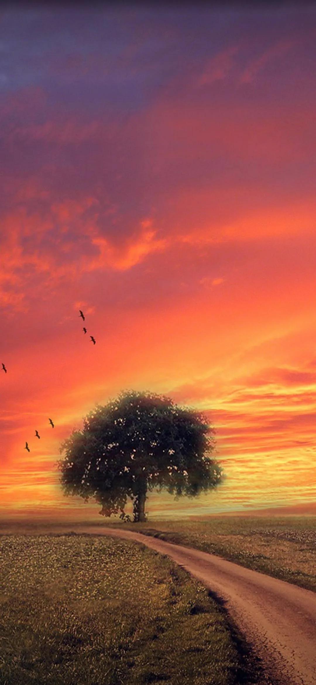 好看的手机壁纸美景,清晰到极致的风景手机壁纸