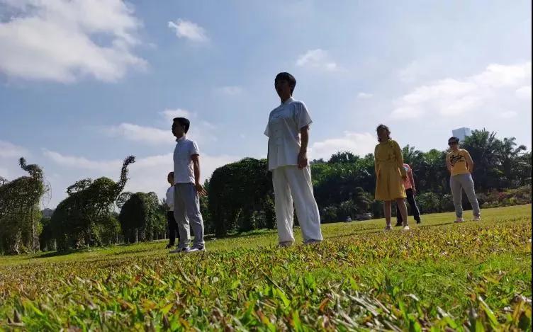 站桩周末完整版,站桩公益课视频