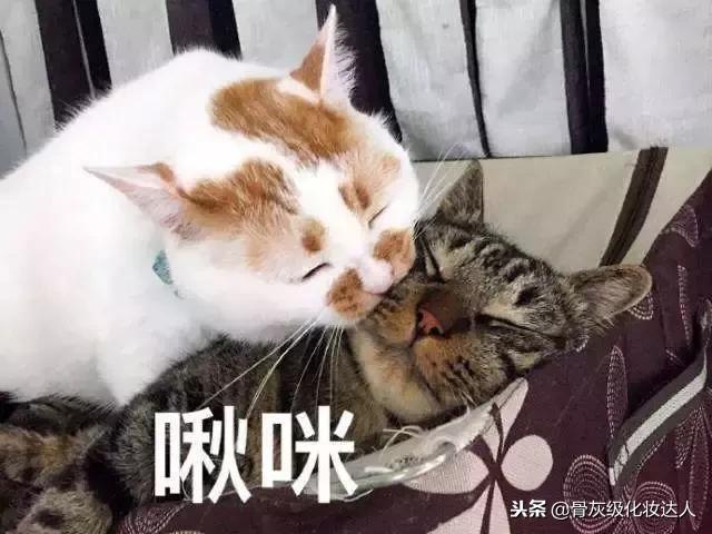 dior微博送口红,迪奥买口红送包