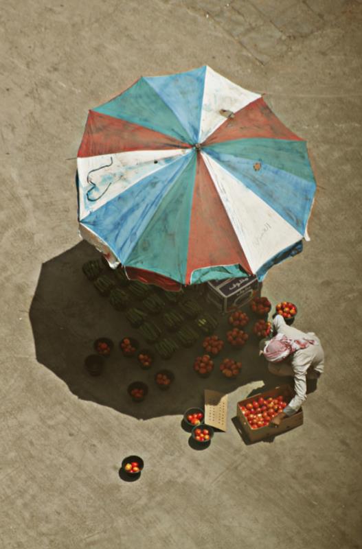 摄影入门构图教程,摄影黄金分割怎么布局