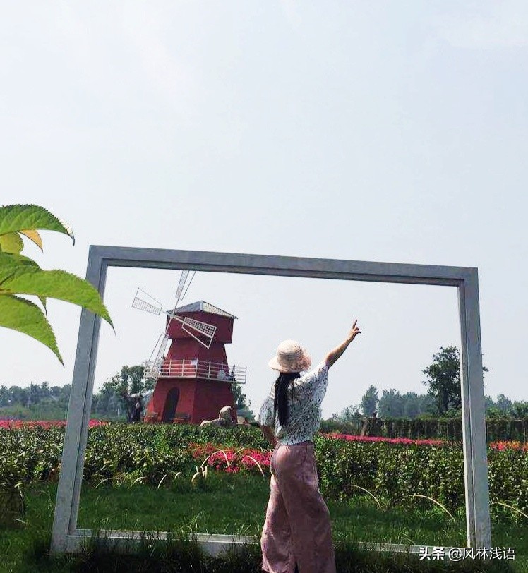 宜昌枝江同心花海步步升景点,枝江同心花海附近好玩的地方