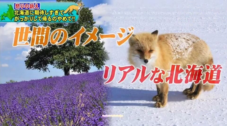 北海道建议去哪里,北海道要准备什么