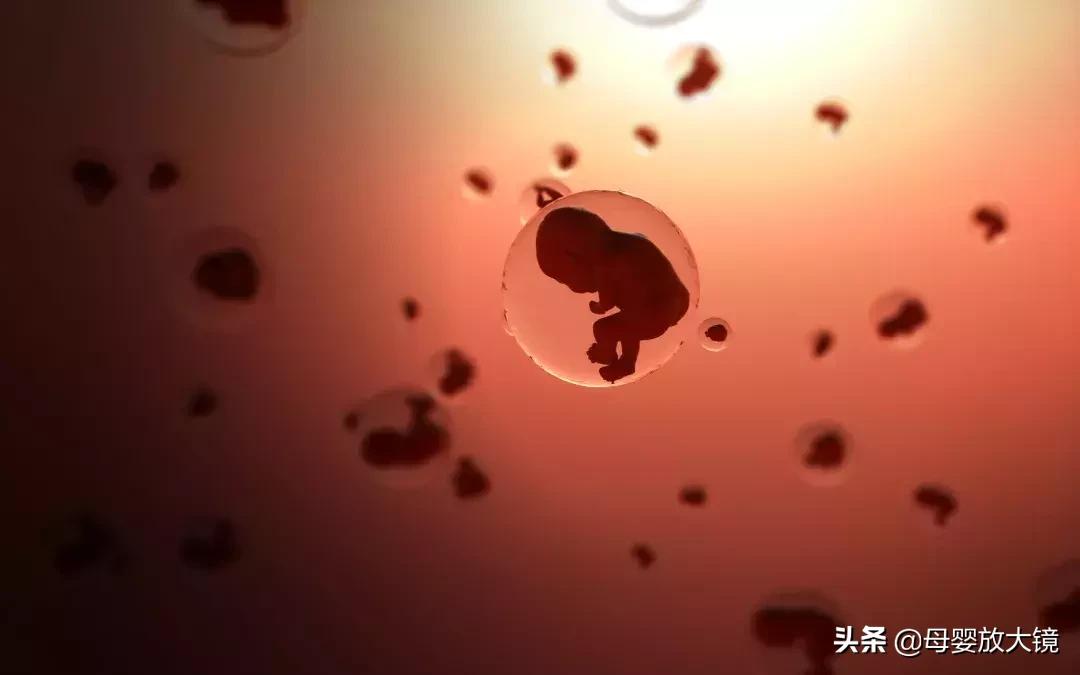 一张图了解孕期,一图看懂孕期食物