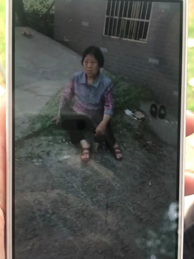 杭州金钱豹出逃最后一只找到了没,杭州金钱豹出逃最新视频