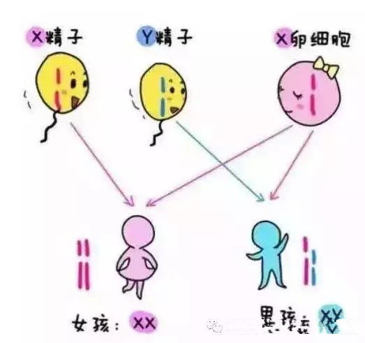 这些“秘方”靠谱吗？