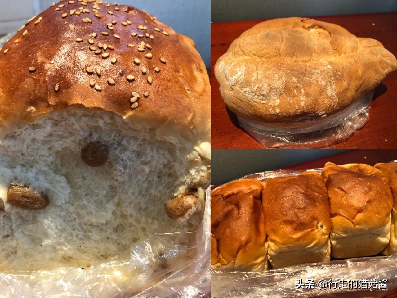 哈尔滨美食地图必打卡店,哈尔滨美食攻略十大必吃排行榜